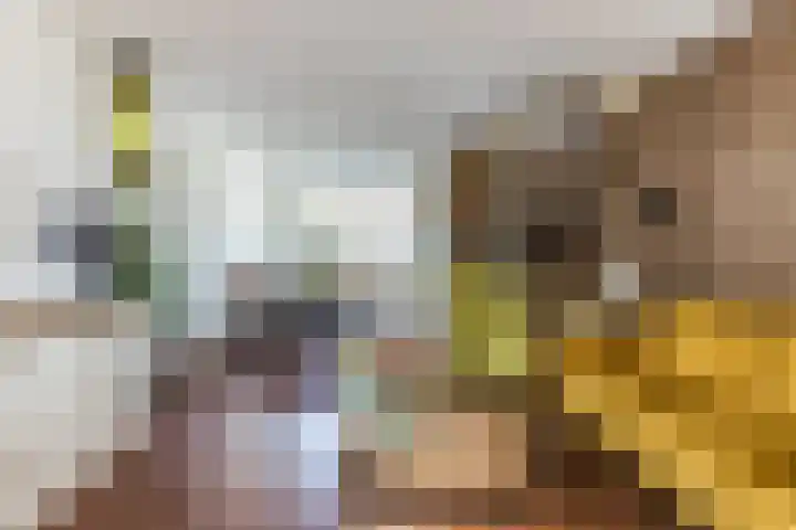 Veenenburgerlaan 11 Hillegom thumbnail 11