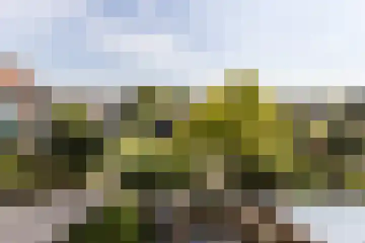 Veenenburgerlaan 11 Hillegom thumbnail 17