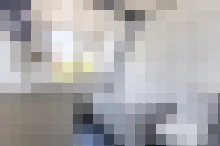 Veenenburgerlaan 11 Hillegom thumbnail 22