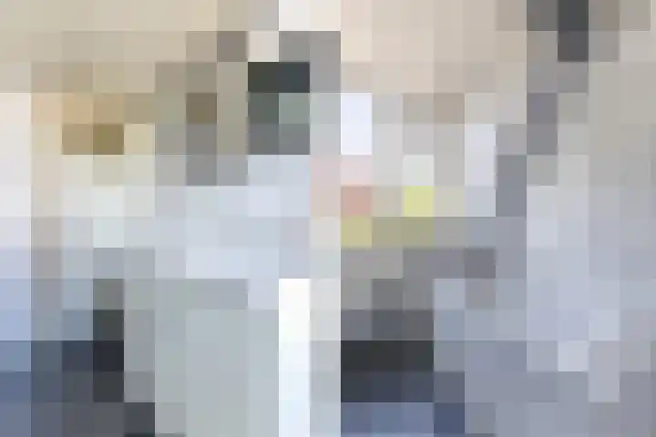 Veenenburgerlaan 11 Hillegom thumbnail 24