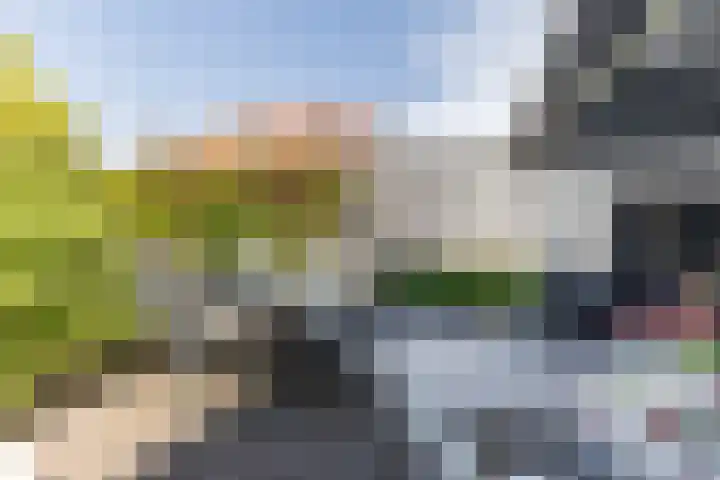 Veenenburgerlaan 11 Hillegom thumbnail 29