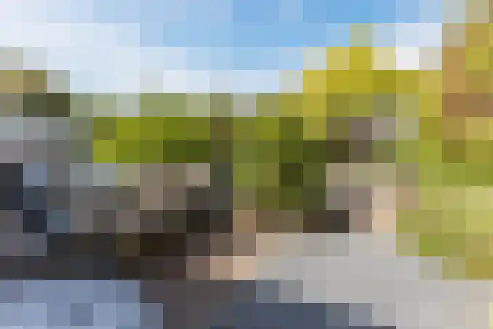 Veenenburgerlaan 11 Hillegom thumbnail 30