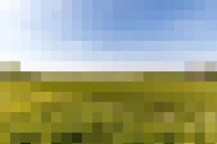 Veenenburgerlaan 11 Hillegom thumbnail 32