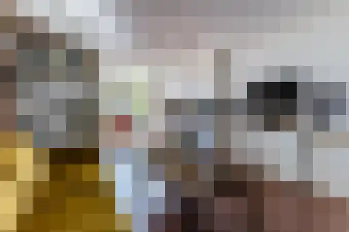 Veenenburgerlaan 11 Hillegom thumbnail 34
