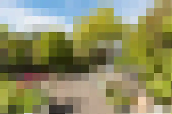 Veenenburgerlaan 11 Hillegom thumbnail 37