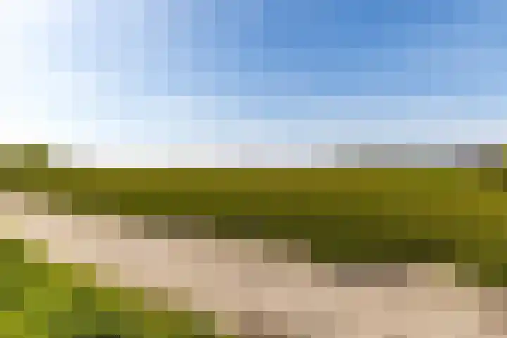 Veenenburgerlaan 11 Hillegom thumbnail 38