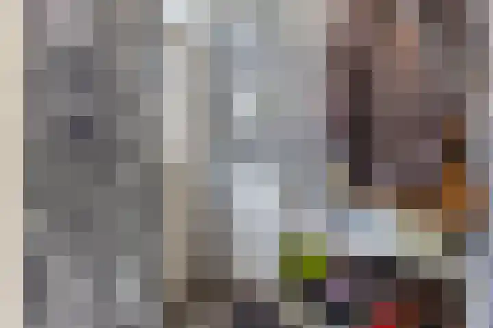 Veenenburgerlaan 11 Hillegom thumbnail 6