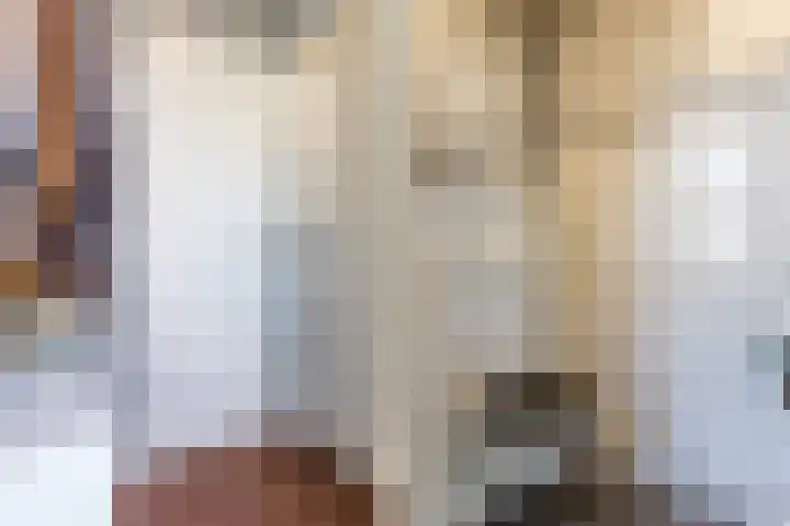 Veenenburgerlaan 11 Hillegom thumbnail 8