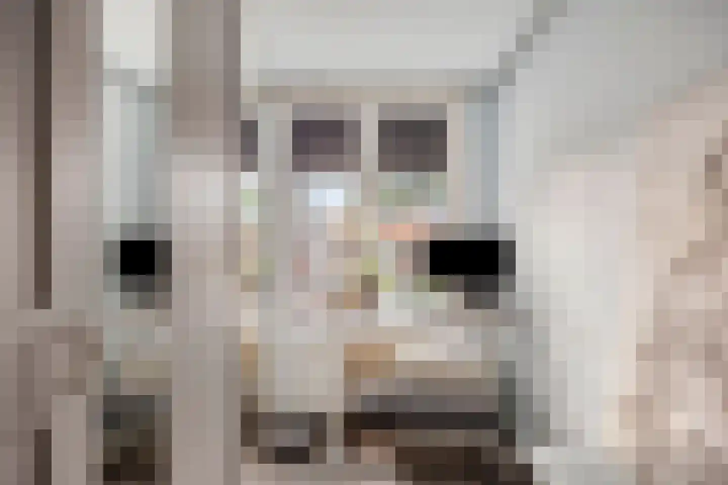 Veenendaalkade 106 Den Haag thumbnail 21