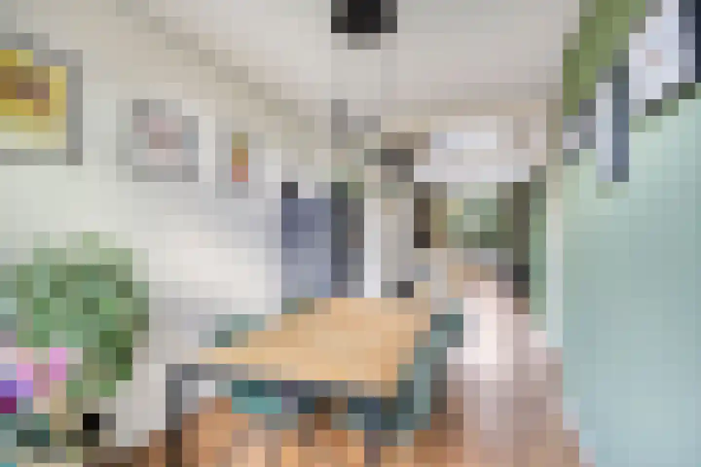 Veenendaalkade 106 Den Haag thumbnail 8