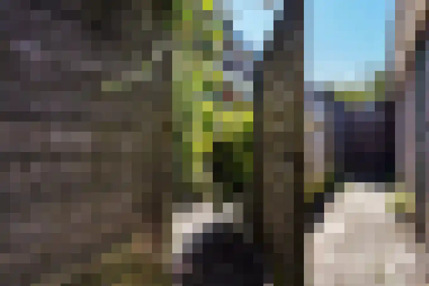 Veenendaalkade 125 Den Haag thumbnail 20