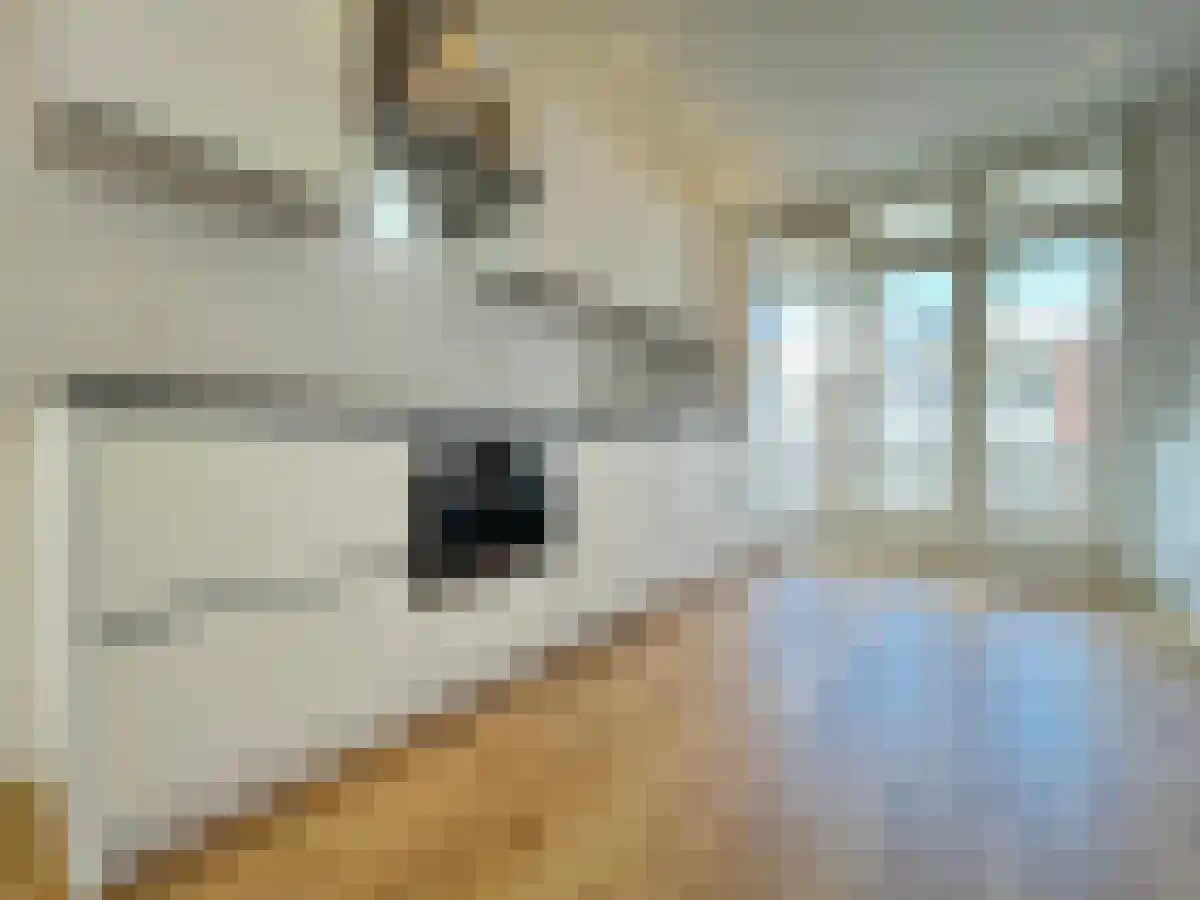 Veenendaalkade 13 Den Haag thumbnail 6