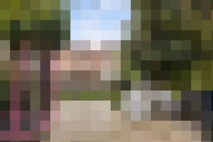 Veenendaalkade 158 Den Haag thumbnail 17
