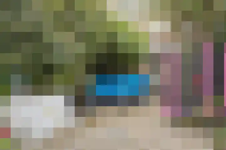 Veenendaalkade 158 Den Haag thumbnail 18