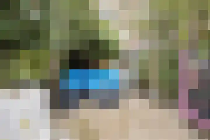 Veenendaalkade 158 Den Haag thumbnail 19