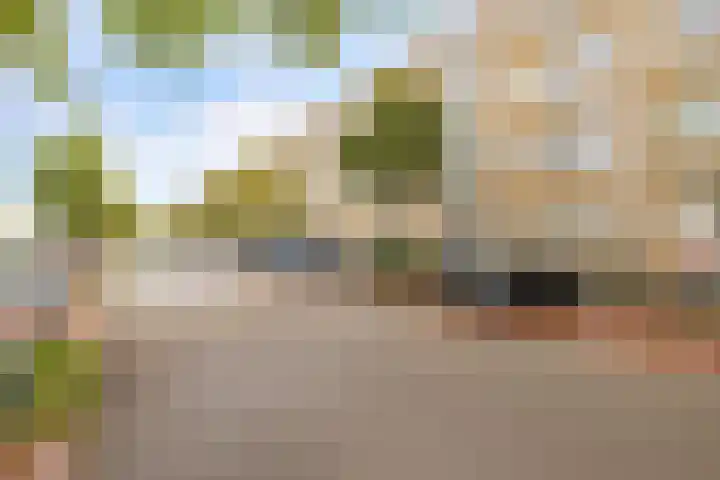 Veenendaalkade 158 Den Haag thumbnail 23