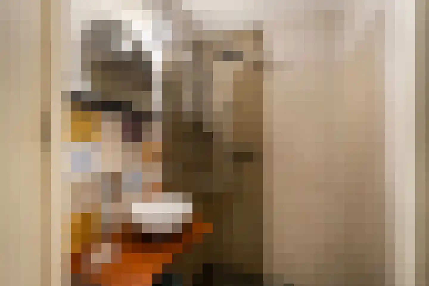 Veenendaalkade 201 Den Haag thumbnail 18