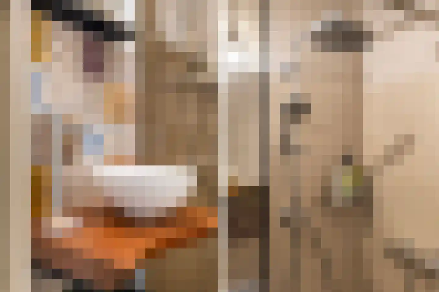 Veenendaalkade 201 Den Haag thumbnail 19