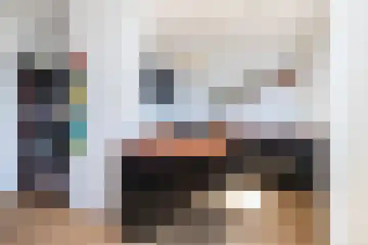 Veenendaalkade 216 Den Haag thumbnail 15