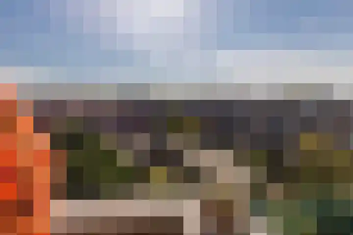 Veenendaalkade 216 Den Haag thumbnail 20