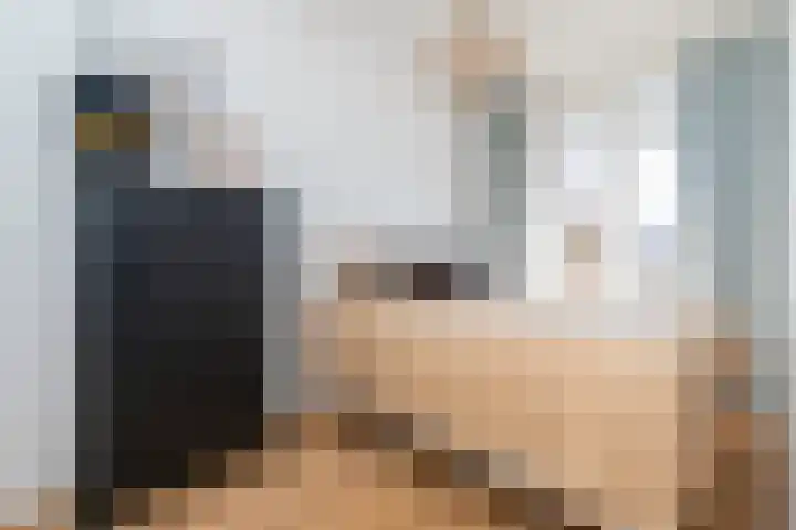 Veenendaalkade 216 Den Haag thumbnail 21