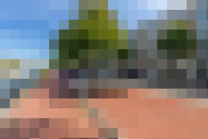 Veenendaalkade 216 Den Haag thumbnail 30