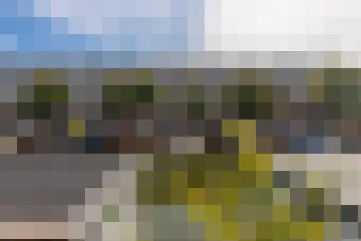 Veenendaalkade 216 Den Haag thumbnail 4