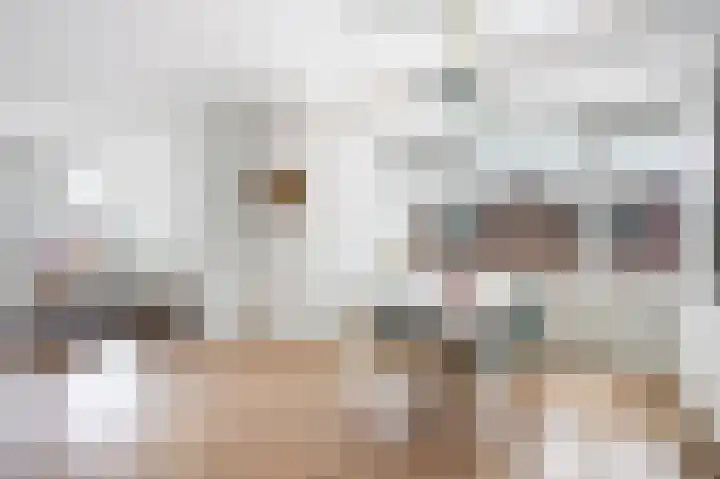 Veenendaalkade 221 Den Haag thumbnail 19