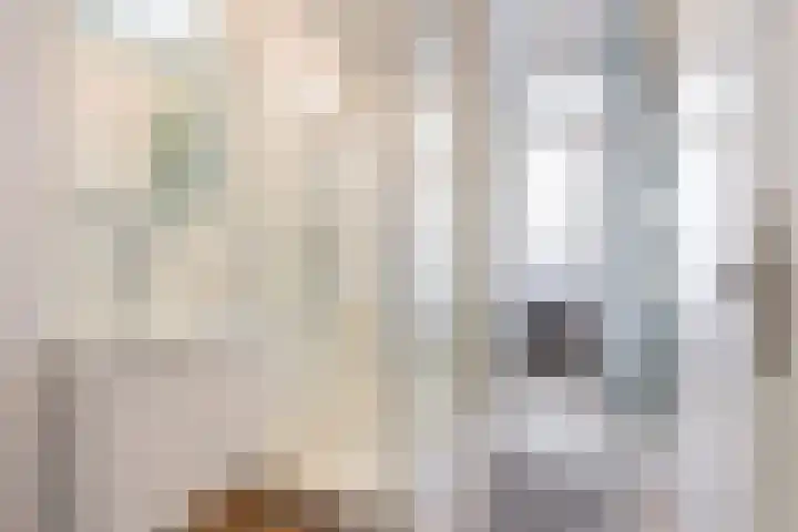 Veenendaalkade 221 Den Haag thumbnail 33