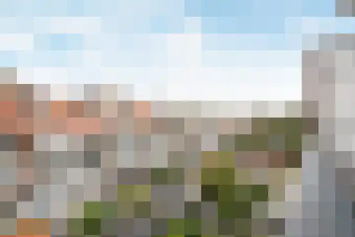 Veenendaalkade 221 Den Haag thumbnail 39