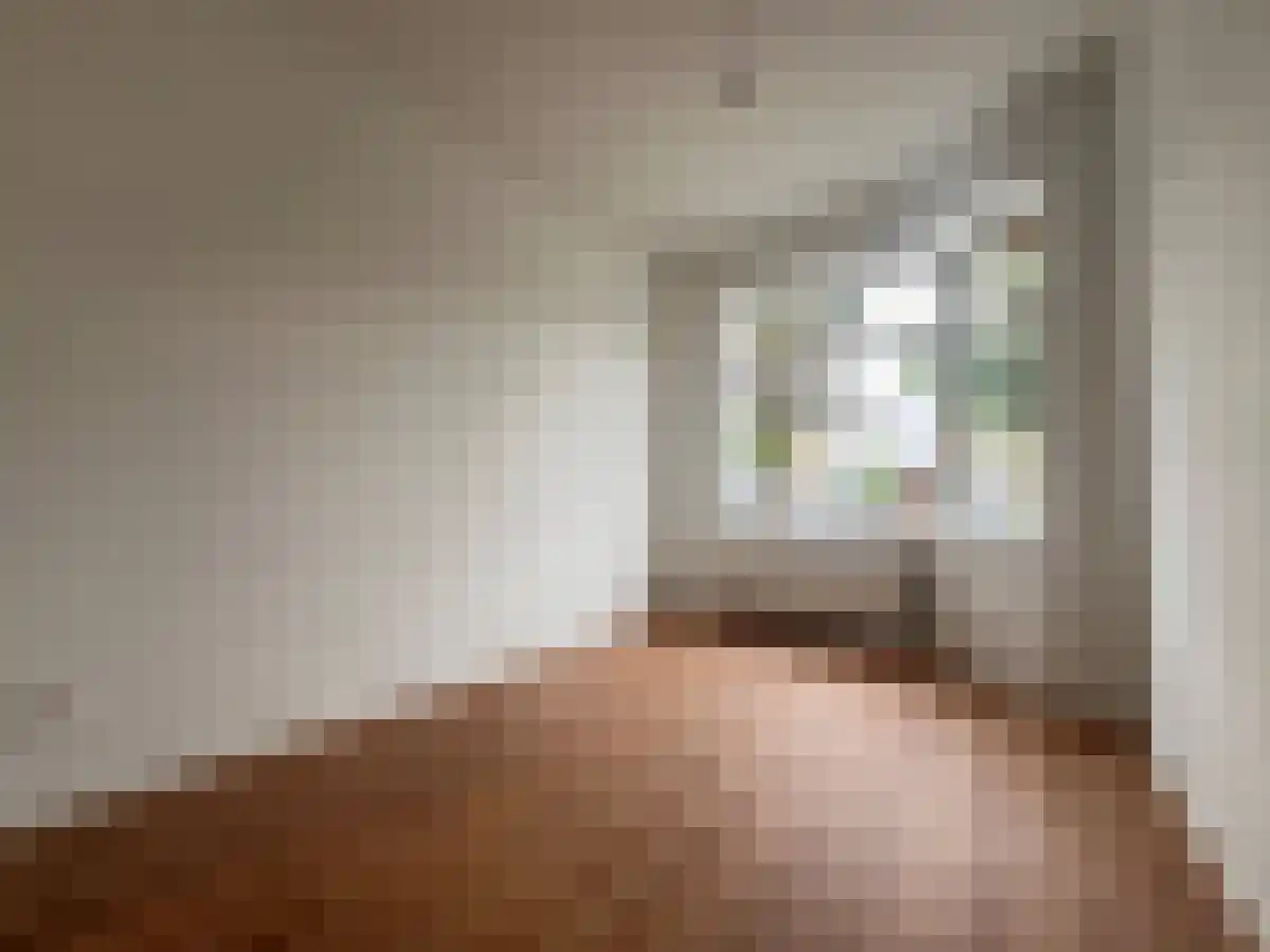 Veenendaalkade 229 Den Haag thumbnail 6