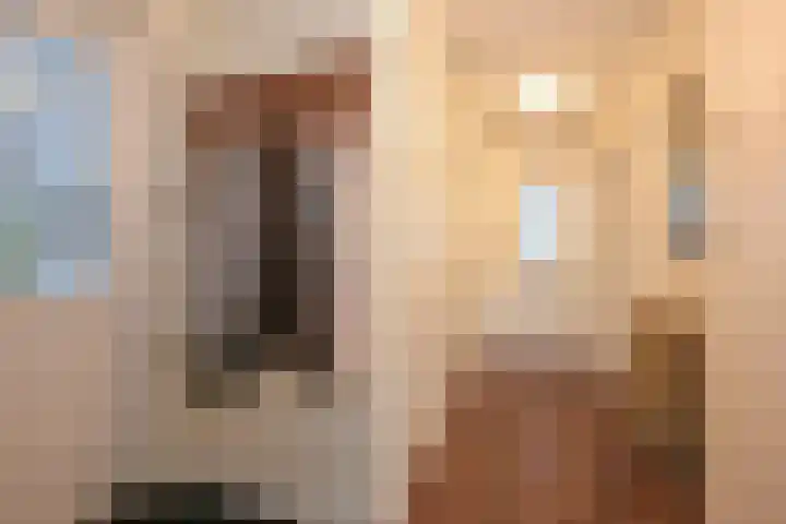 Veenendaalkade 230 Den Haag thumbnail 10