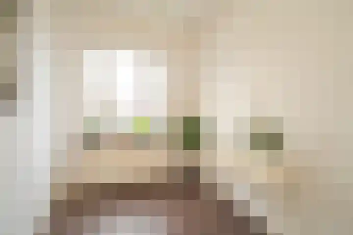 Veenendaalkade 230 Den Haag thumbnail 11
