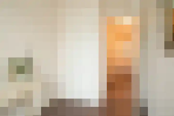 Veenendaalkade 230 Den Haag thumbnail 12