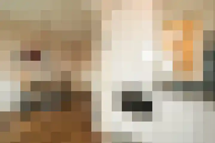 Veenendaalkade 230 Den Haag thumbnail 29