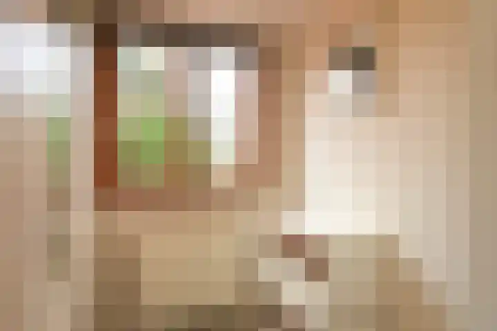 Veenendaalkade 230 Den Haag thumbnail 32
