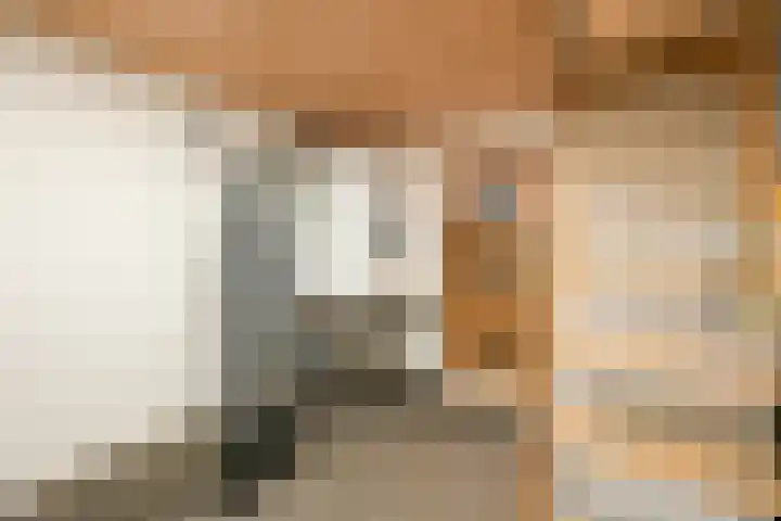 Veenendaalkade 230 Den Haag thumbnail 34