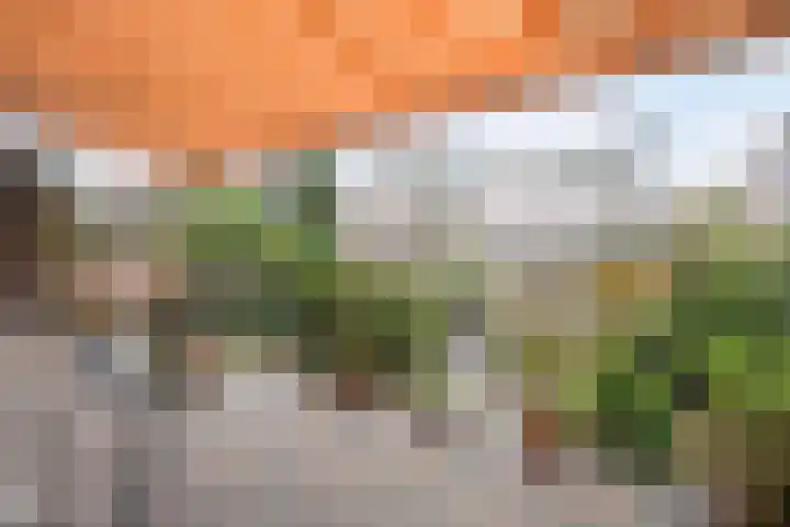 Veenendaalkade 230 Den Haag thumbnail 41