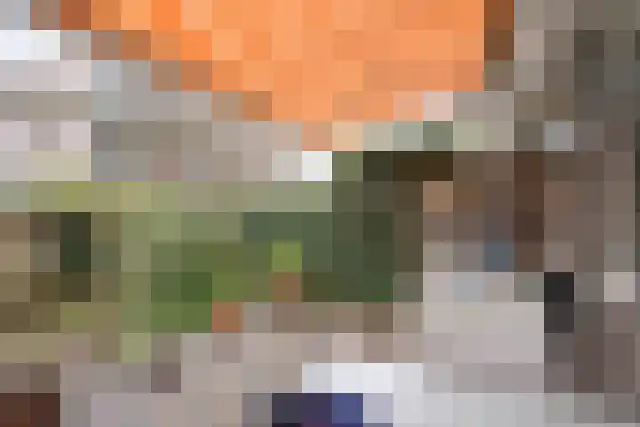 Veenendaalkade 230 Den Haag thumbnail 43