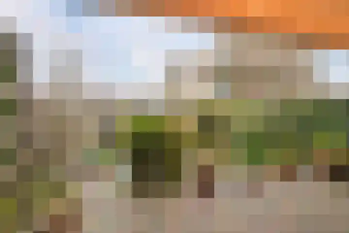Veenendaalkade 230 Den Haag thumbnail 44