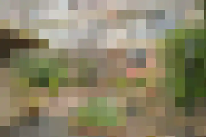 Veenendaalkade 230 Den Haag thumbnail 48