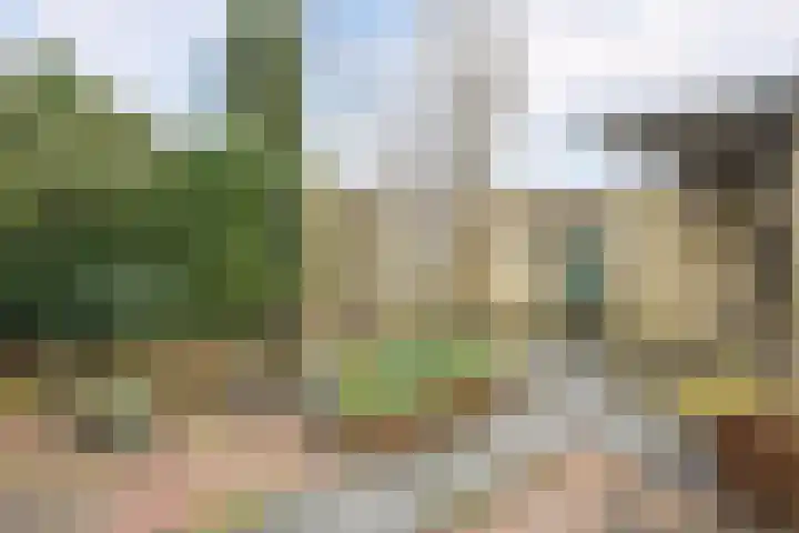 Veenendaalkade 230 Den Haag thumbnail 49