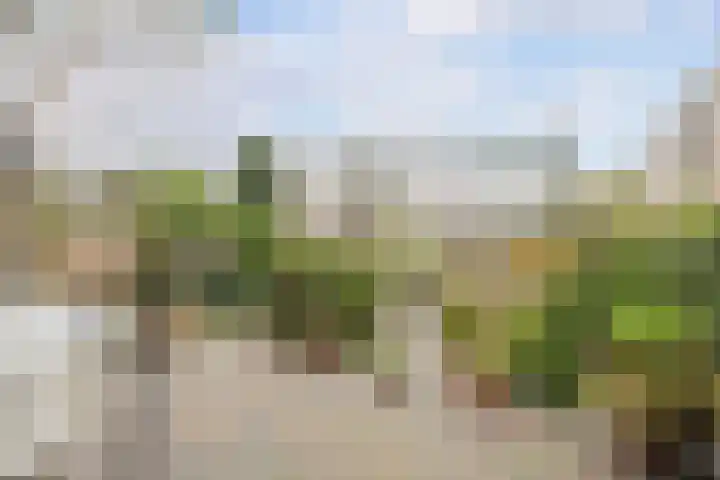 Veenendaalkade 230 Den Haag thumbnail 5