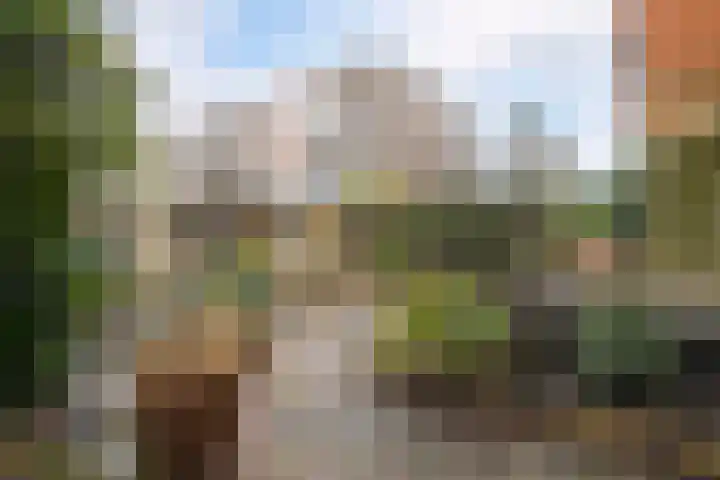 Veenendaalkade 230 Den Haag thumbnail 50