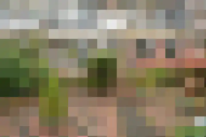 Veenendaalkade 230 Den Haag thumbnail 51