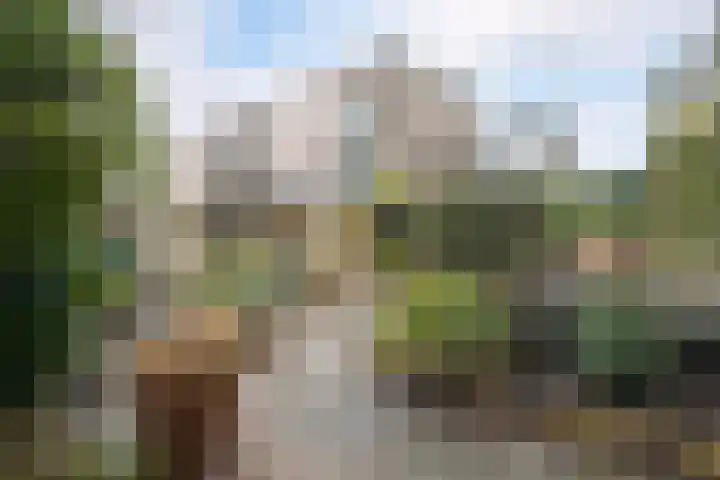 Veenendaalkade 230 Den Haag thumbnail 52