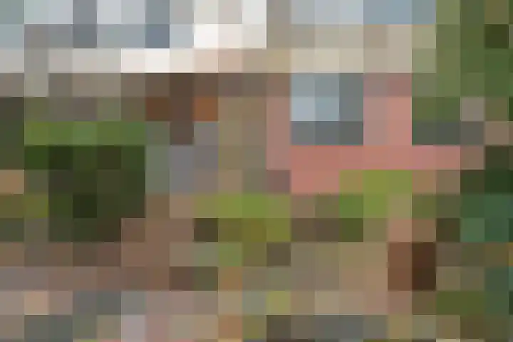Veenendaalkade 230 Den Haag thumbnail 53