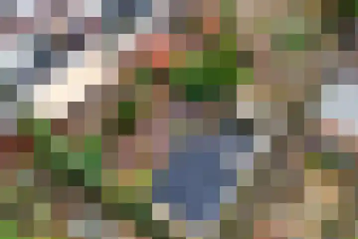Veenendaalkade 230 Den Haag thumbnail 54