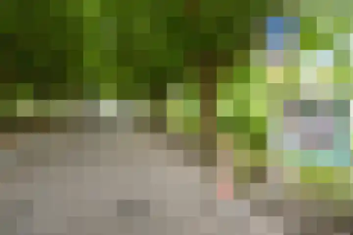 Veenendaalkade 230 Den Haag thumbnail 58