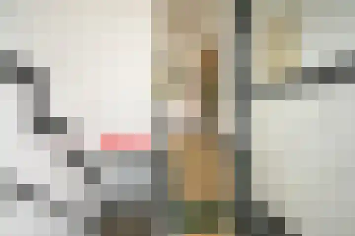 Veenendaalkade 230 Den Haag thumbnail 8